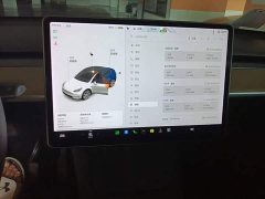 Tesla Model Y Long Range All-Wheel Drive - ფოტო 13