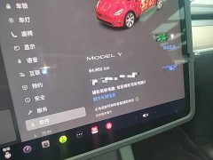 Tesla Model Y 2022 Facelift Rear-Wheel Drive - ფოტო 12
