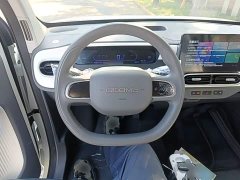Geely Panda 2025 Panda Mini 210km Vitality Edition - ფოტო 11