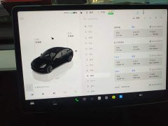 Tesla Model 3 Rear-Wheel Drive - ფოტო 12