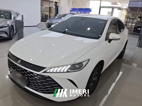 2025 BYD Qin PLUS DM-i Smart Drive Edition 55KM Leading