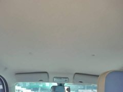 Dongfeng Fengguang MINIEV Stylish Luxury Edition - ფოტო 18
