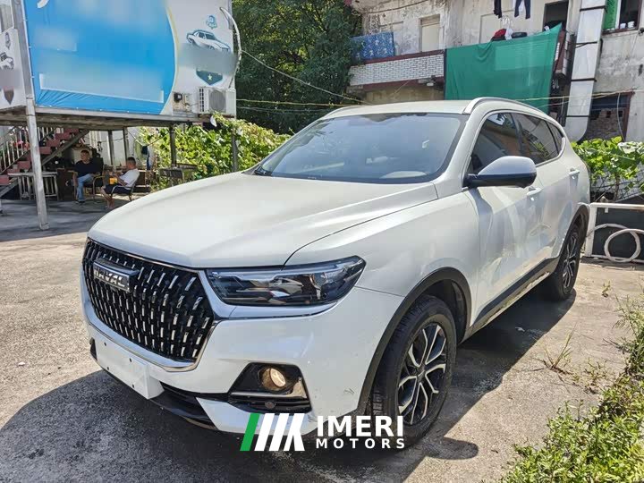 Haval H6 2023 National Trend Edition 1.5T Automatic Urban Version - ავტომობილი ჩინეთიდან