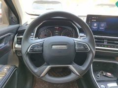 Haval H6 2023 National Trend Edition 1.5T Automatic Urban Version - ფოტო 11