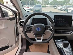 BYD Yuan Pro 2021 401KM Luxury - ფოტო 11