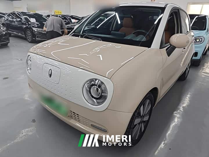 Ora Black Cat 351km Standard Edition Ternary Lithium - ავტომობილი ჩინეთიდან
