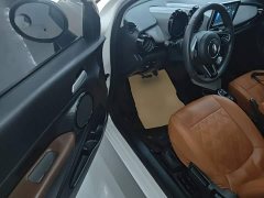 Ora Black Cat 351km Standard Edition Ternary Lithium - ფოტო 16