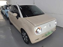 Ora Black Cat 351km Standard Edition Ternary Lithium - ფოტო 4