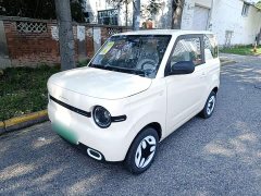 Geely Panda 2025 Panda Mini 210km Vitality Edition - ფოტო 2