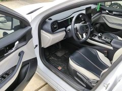 BYD Qin Plus 2021 DM-i 55KM Luxury - ფოტო 16