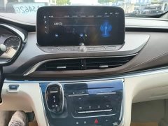 Buick GL8 Land Executive Cabin 652T Luxury - ფოტო 13