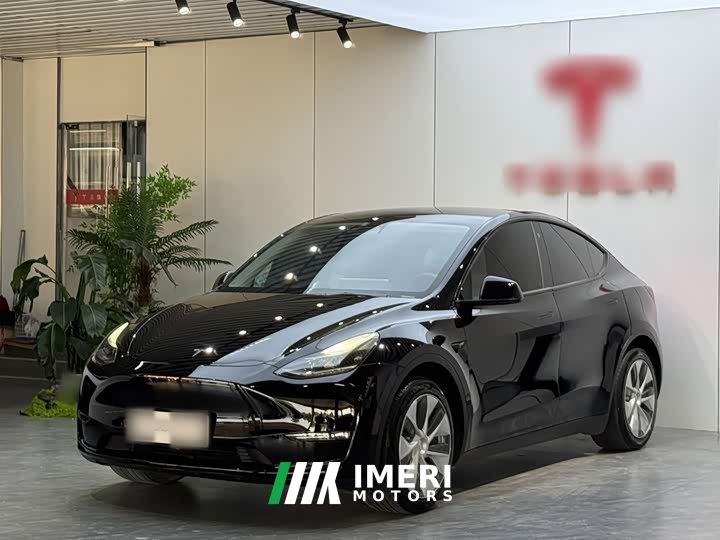 Tesla Model Y 2021 Standard Range RWD - ავტომობილი ჩინეთიდან