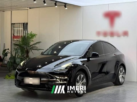 2022 Tesla Model Y 2021 Standard Range RWD - ავტომობილი ჩინეთიდან