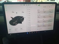 Tesla Model Y 2021 Standard Range RWD - ფოტო 12