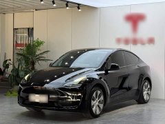 Tesla Model Y 2021 Standard Range RWD - ფოტო 2