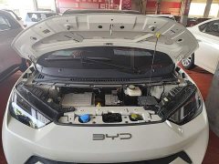 BYD Seagull 2023 Freedom Edition - ფოტო 16