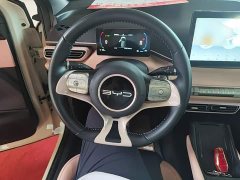 BYD Seagull 2023 Freedom Edition - ფოტო 7