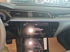 Audi e-tron 2021 50 quattro Luxury - ფოტო 13