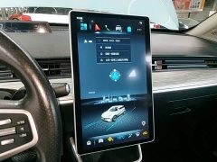 Neta V 2022 Tide 300 Lite LFP - ფოტო 13