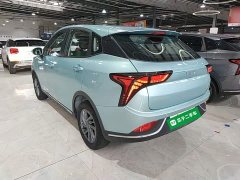 Neta V 2022 Tide 300 Lite LFP - ფოტო 5