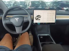 Tesla Model Y Performance All-Wheel Drive - ფოტო 10