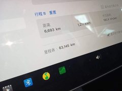 Tesla Model Y Performance All-Wheel Drive - ფოტო 12