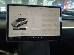 Tesla Model Y Performance All-Wheel Drive - ფოტო 13