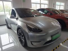 Tesla Model Y Performance All-Wheel Drive - ფოტო 4