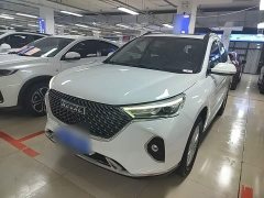 Haval M6 PLUS 1.5T DCT Luxury Smart Connected Edition - ფოტო 1