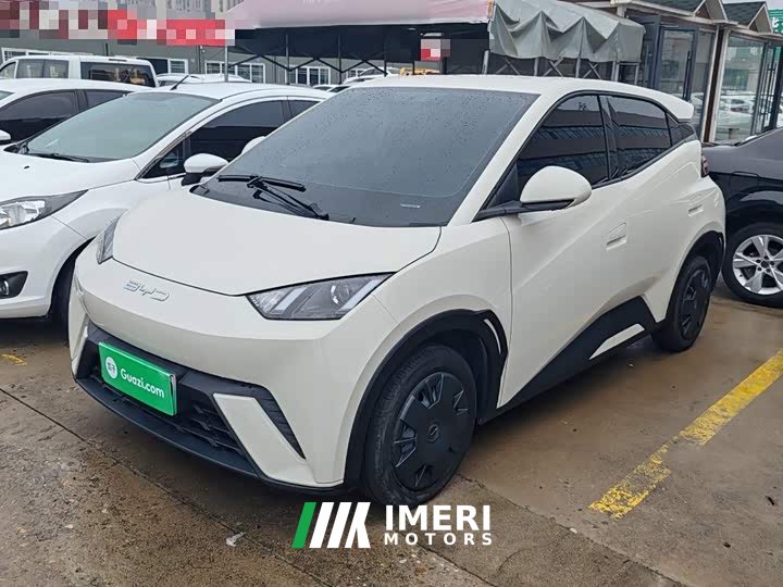 BYD Seagull 2023 Vitality Edition - ავტომობილი ჩინეთიდან
