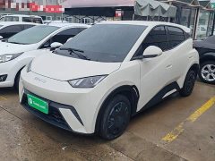 BYD Seagull 2023 Vitality Edition - ფოტო 1