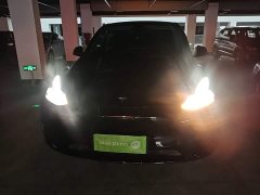 Tesla Model Y Rear-Wheel Drive - ფოტო 3