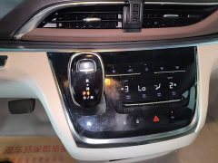 Buick GL8 Land Executive Cabin 652T Luxury - ფოტო 14