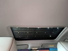 Buick GL8 Land Executive Cabin 652T Luxury - ფოტო 18