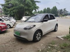 Wuling Binguo 333km Joy Edition - ფოტო 1