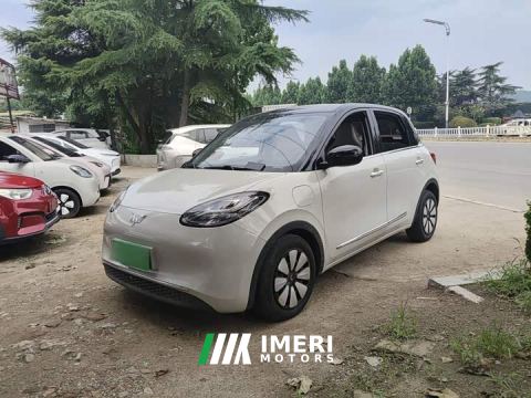 2023 Wuling Binguo 333km Joy Edition