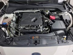 Ford Focus 2021 Hatchback EcoBoost 180 Automatic Trend - ფოტო 20