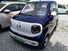FAW Besturn Xiaoma 222km Lightning Edition - ფოტო 2