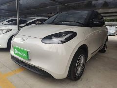 Wuling Binguo 333km Joy Edition - ფოტო 1
