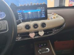 Wuling Binguo 333km Joy Edition - ფოტო 13