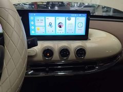 Wuling Binguo 333km Joy Edition - ფოტო 13