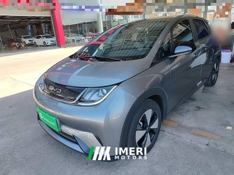 2024 BYD Dolphin 2023 420km Fashion Edition - ავტომობილი ჩინეთიდან