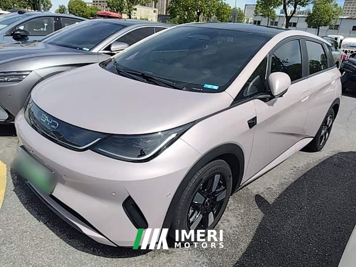 BYD Dolphin Smart Drive 410km Fashion Edition - ავტომობილი ჩინეთიდან