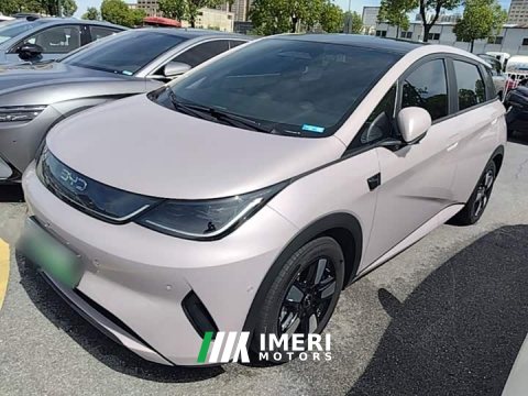 2025 BYD Dolphin Smart Drive 410km Fashion Edition - ავტომობილი ჩინეთიდან