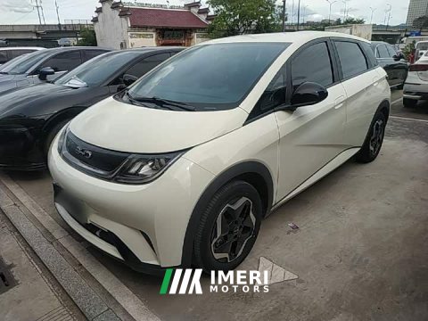 2024 BYD Dolphin 2025 420km Vitality Edition - ავტომობილი ჩინეთიდან