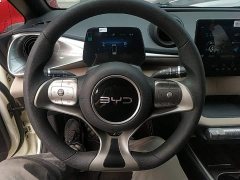 BYD Dolphin 2025 420km Vitality Edition - ფოტო 11