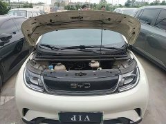 BYD Dolphin 2025 420km Vitality Edition - ფოტო 20
