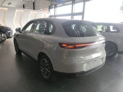 Leapmotor B10 510 Pleasure Edition - ფოტო 5