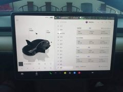 Tesla Model 3 2022 Rear-Wheel Drive - ფოტო 12