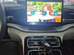 BYD Qin Plus DM-i 55KM Flagship - ფოტო 13